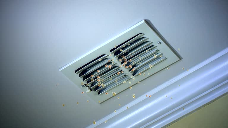 Best HVAC Duct Inspection Services  in Garrett, IN